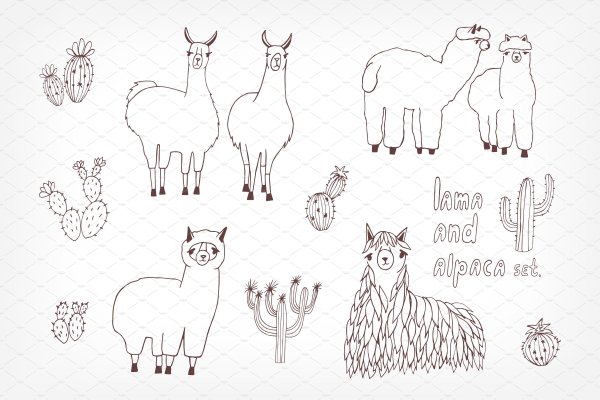 Нарисованная альпака