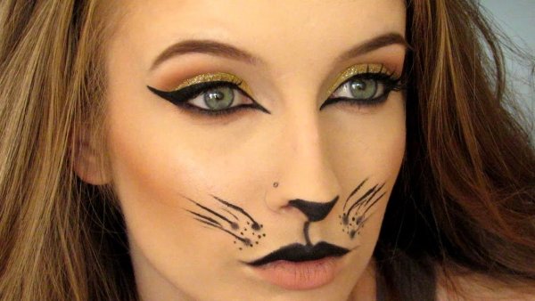 Легкий макияж кошки