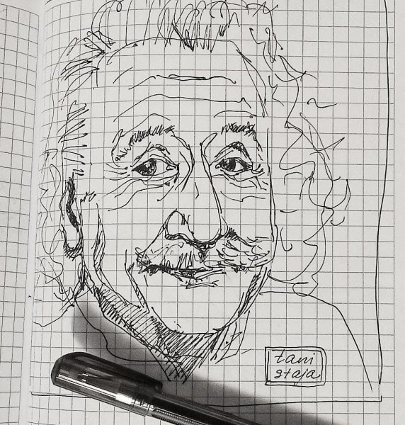 Эйнштейн рисунок ручкой