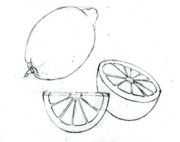 Лимон рисунок