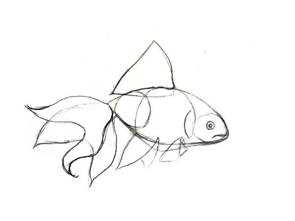 Рыбка карандашом