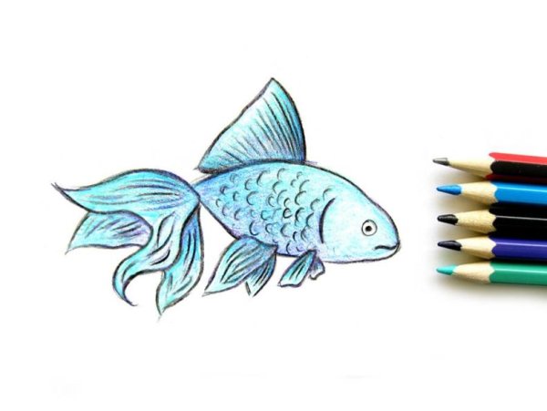 Рыбка карандашом