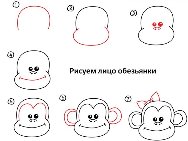 Как нарисовать обезьянку