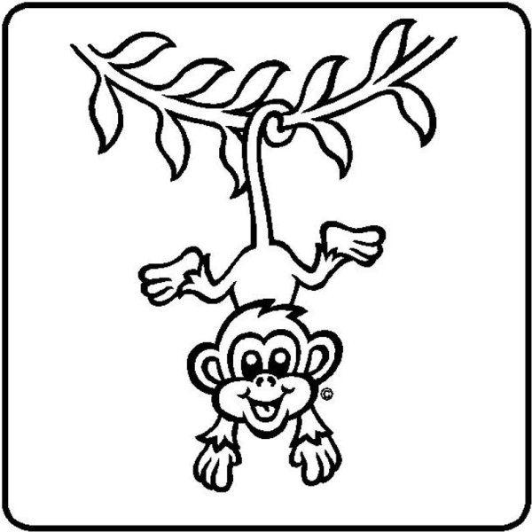 Обезьяна раскраска для детей