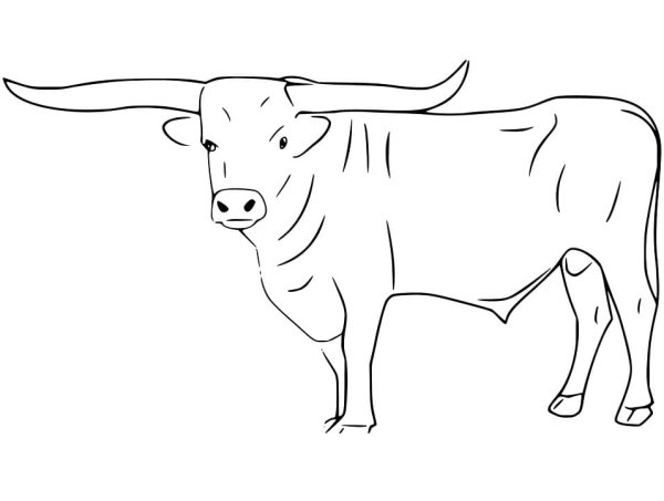 Бык поэтапное рисование для детей