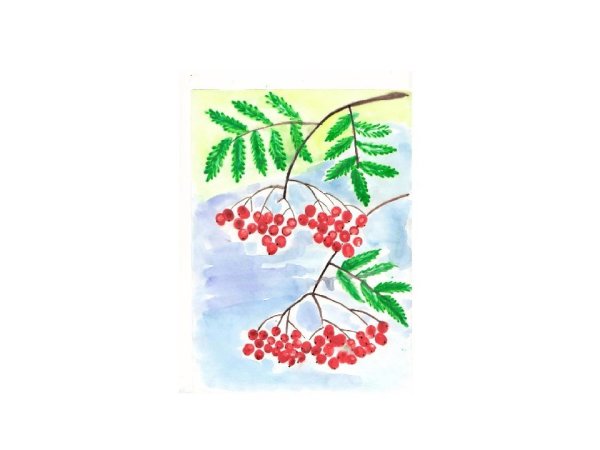 Ветка рябины рисунок для детей поэтапно