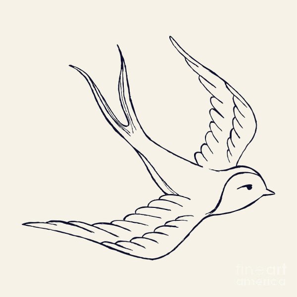 Контурные тату Ласточка
