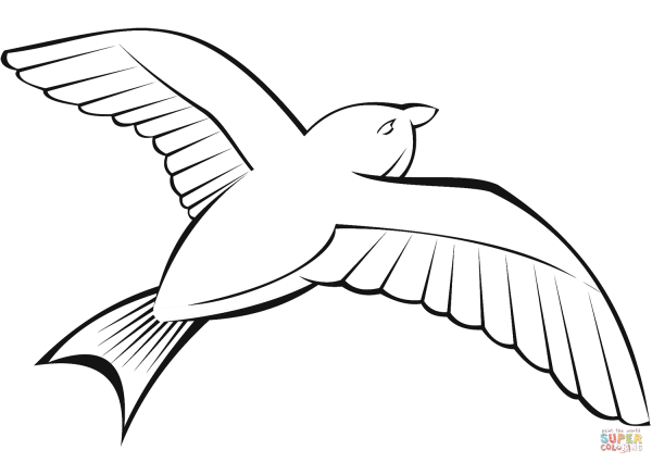 Птица в полете рисунок