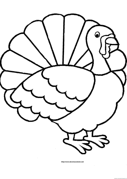 Индюк рисунок пошагово