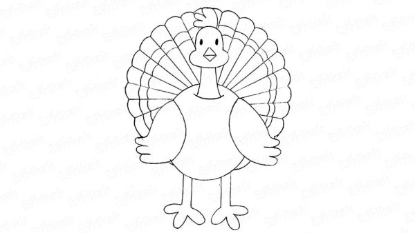 Turkey индюк for Kids
