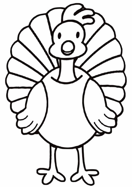 Поэтапное рисование индюка