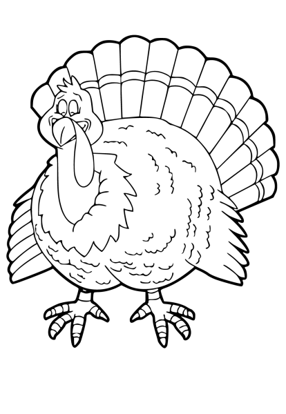 Рисунок по контуру индюк