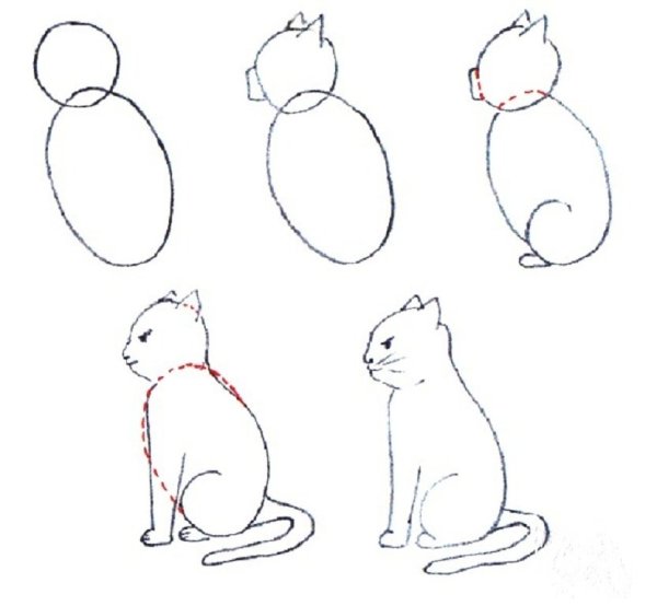 Поэтапное рисование кошки