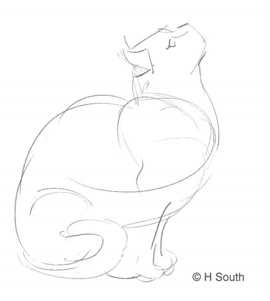 Сидячая кошка карандашом