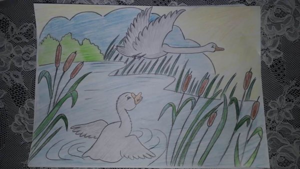 Иллюстрация к рассказу Гадкий утенок 3 класс