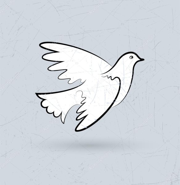 Голубь карандашом для детей