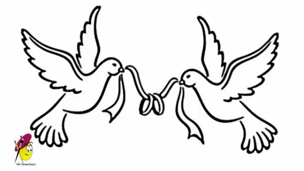 Голуби печать