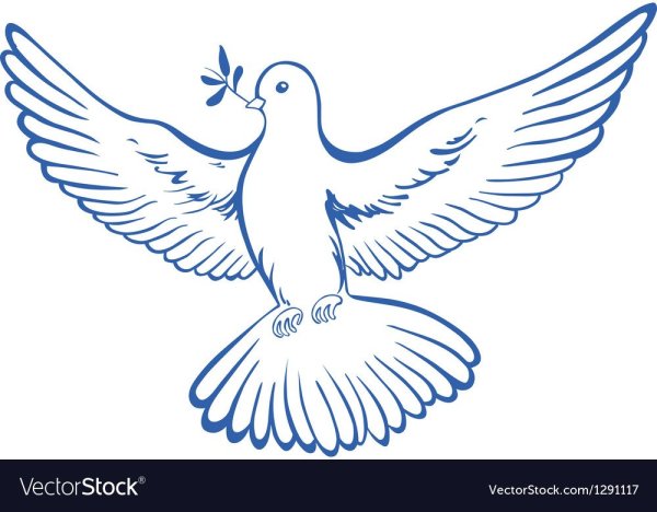 Голубь с веточкой контур