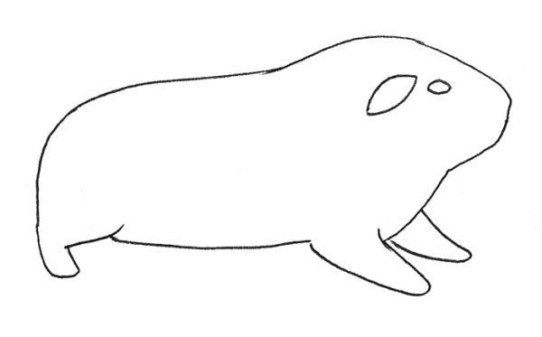 Раскраска морская Свинка