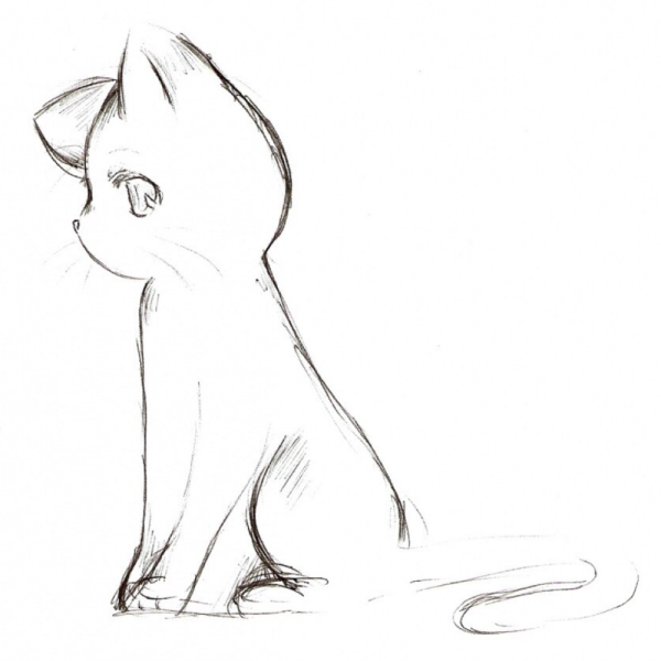 Поэтапное рисование котенка