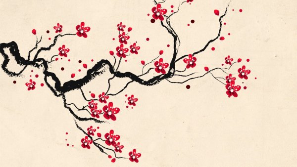 Сакура узор