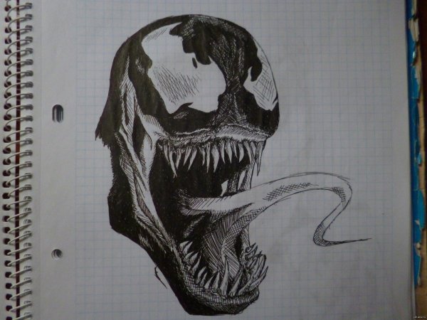 Веном рисунок для срисовки