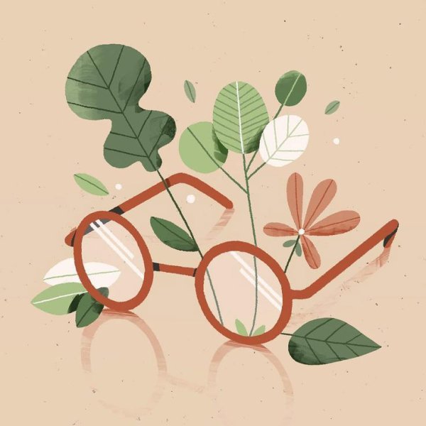 Adobe Illustrator Векторная Графика