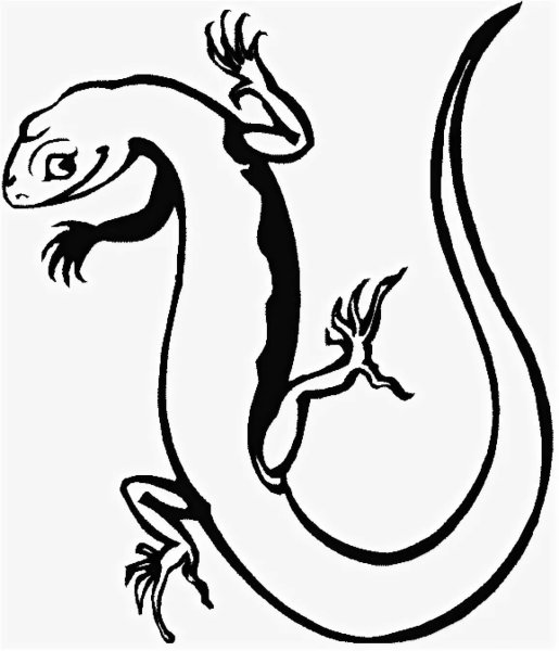 Ящерица рисунок карандашом