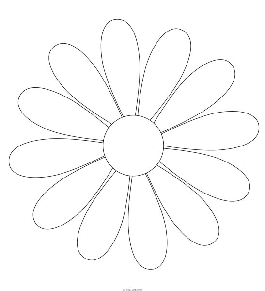 Ромашка рисунок карандашом