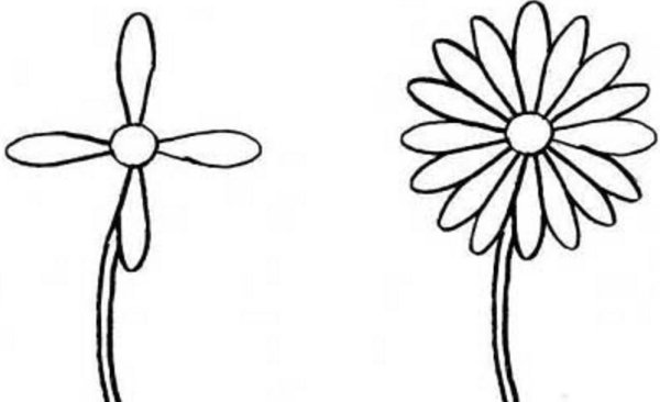 Ромашка рисунок карандашом