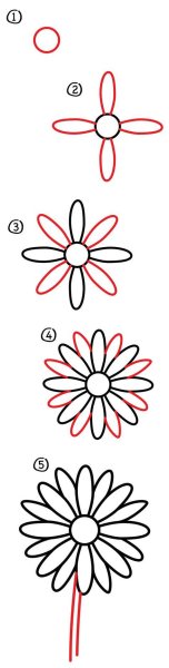 Ромашки рисовать карандашом