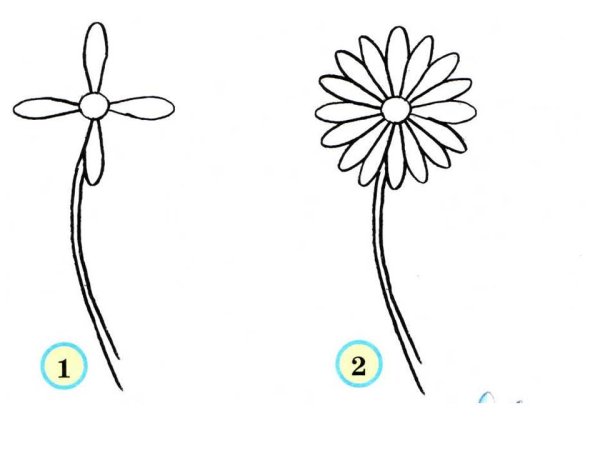 Ромашка раскраска для детей