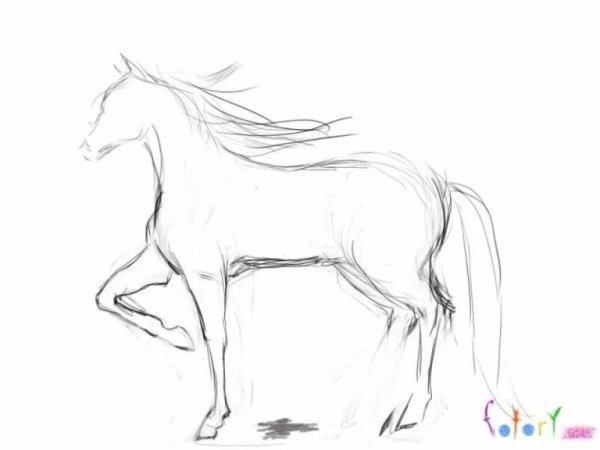Лошадь рисунок