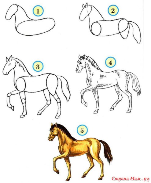 Лошадь карандашом для детей