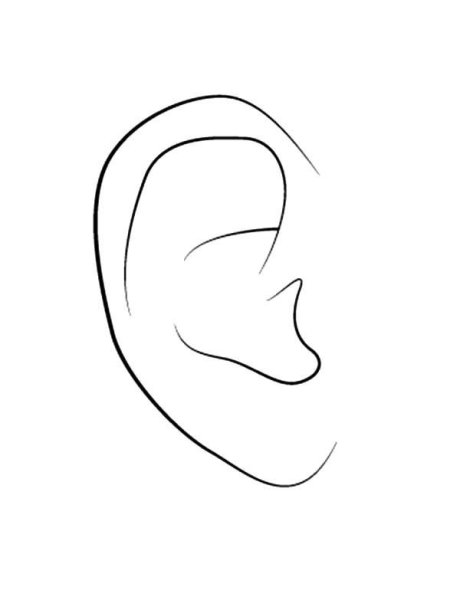 Ухо контур
