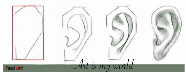 Этапы рисования ушей