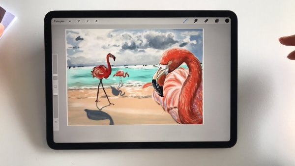 Планшет Samsung Procreate