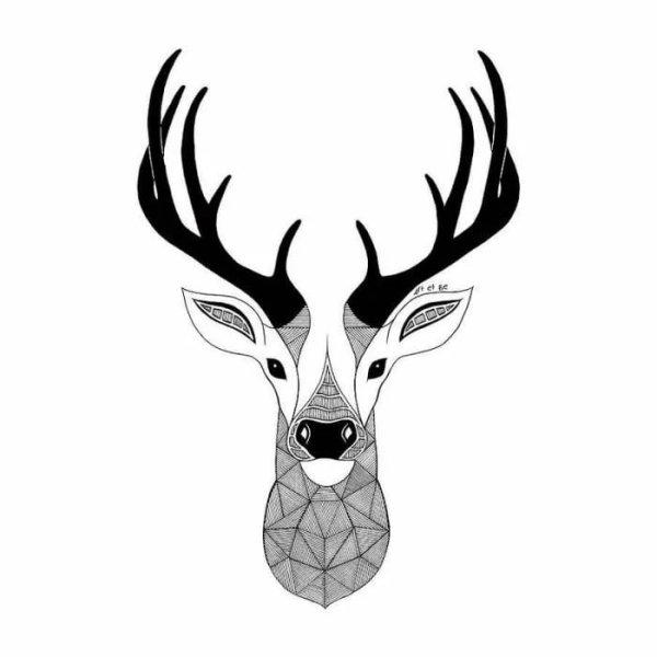 Черно белые рисунки простые