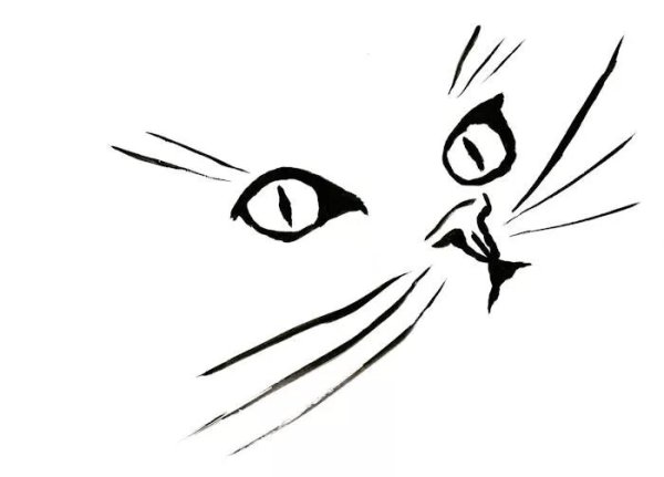 Владимир Шорохов рисунки