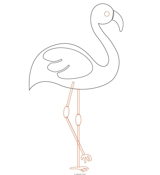 Фламинго рисунок карандашом