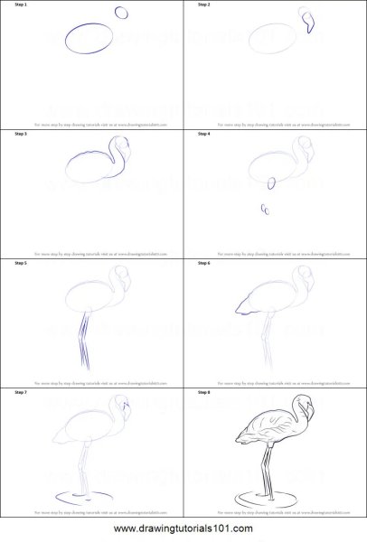 Рисунок Фламинго для детей пошагово