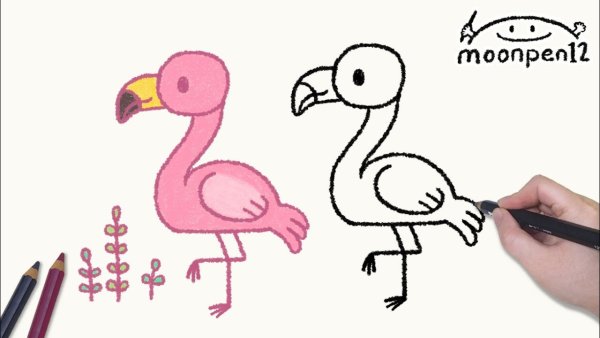 Фламинго для срисовки легко