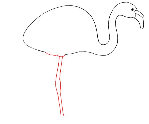 Фламинго карандашом