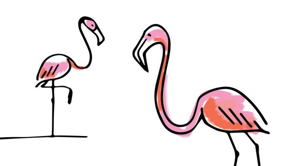Розовый Фламинго рисунок карандашом для детей