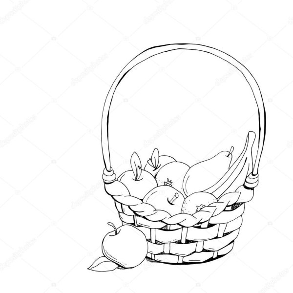 Корзина с фруктами карандашом