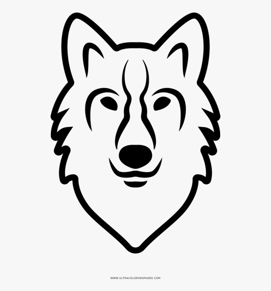 Мордочка волка