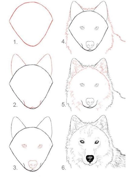 Морда волка рисунок