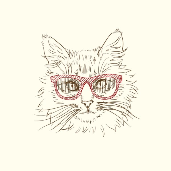 Котик в очках карандашом