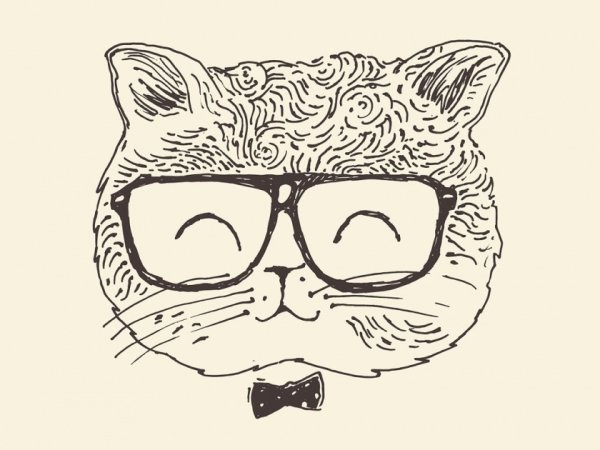 Кот в очках рисунок
