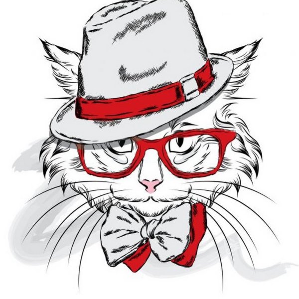Кот в очках вектор